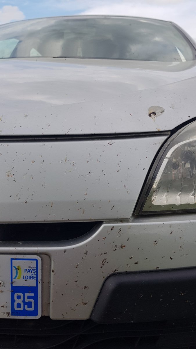 Thierry Gain tweet media