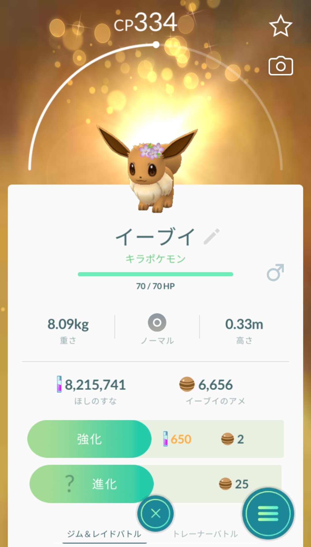 かっちゃん ８ ８gofest横浜 昨日ポケモンｇｏでゲットしたキラポケモンその１ キラ花飾りイーブイ ２匹目 キライーブイなら１６匹目です お互いに今日 昨日 ゲットした イーブイ を交換したら キライーブイ になりました 攻撃１５