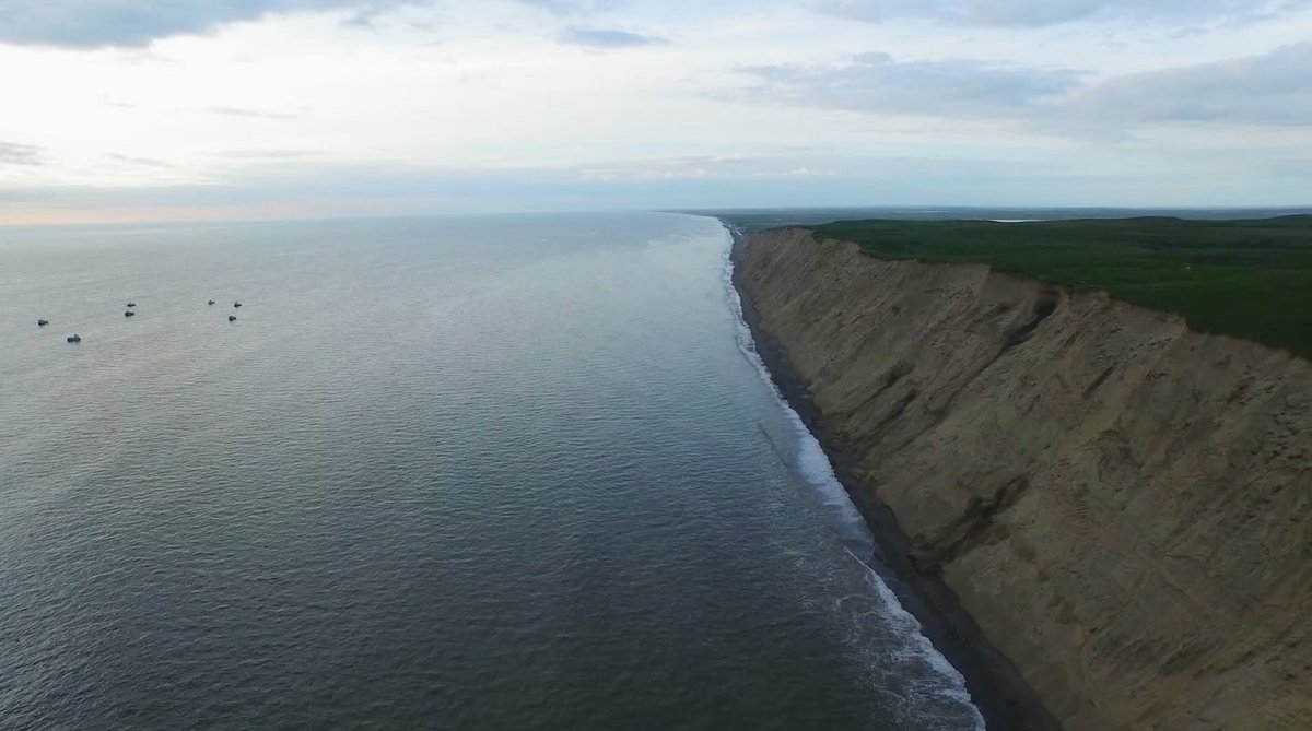 thewildfilm's tweet photo. "Some things do not have a price tag, some things are not for sale." @UnitedTribes_BB Executive Director Alannah Hurley in @thewildfilm

The permitting process isn't slowing down.
Now, more than ever, we need to stand for Bristol Bay.

#howdoyousavewhatyoulove

📷 by Chris Miller https://t.co/fzvzWKi2Bb