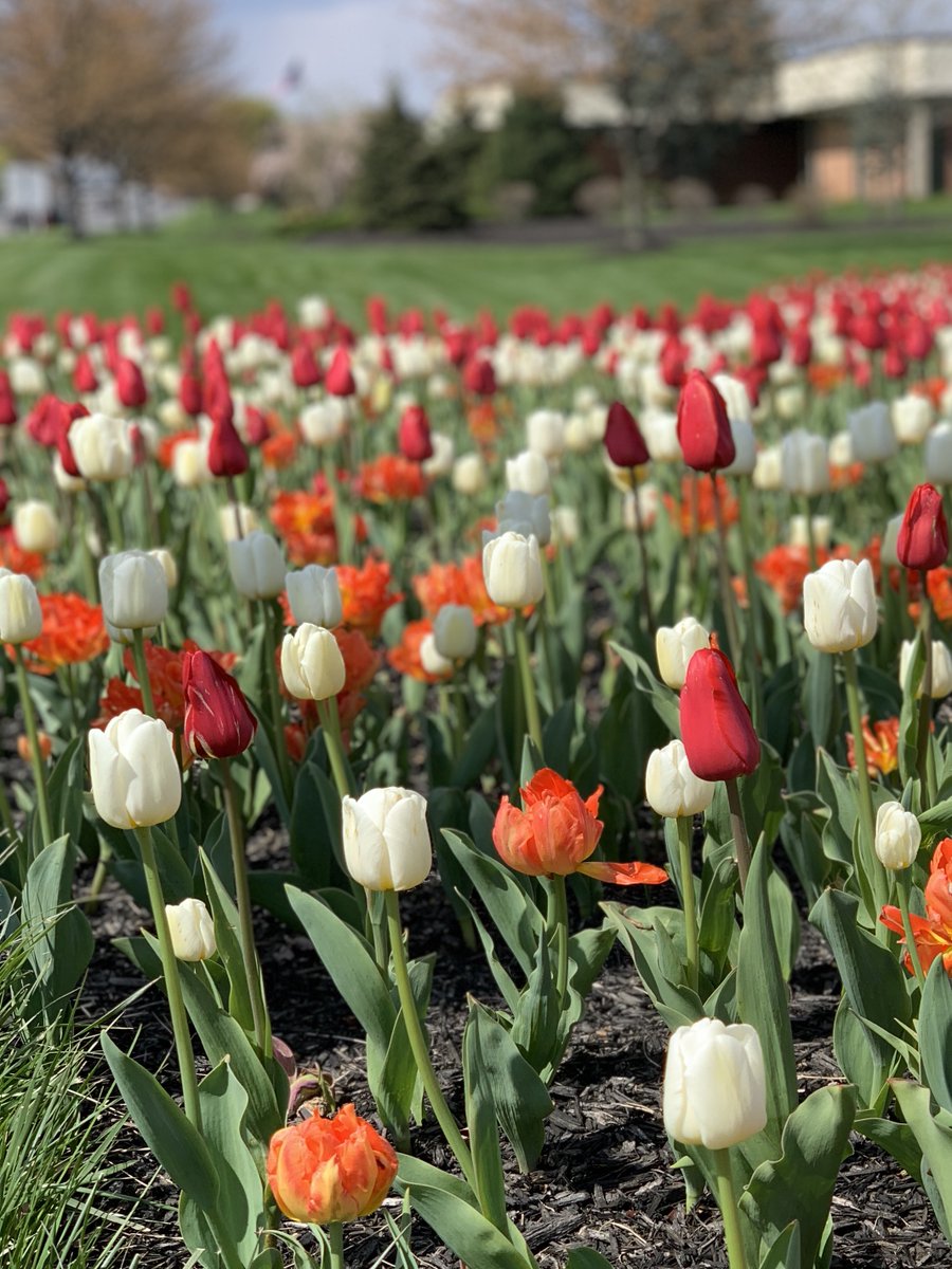 Cumberland Valley SD tweet media