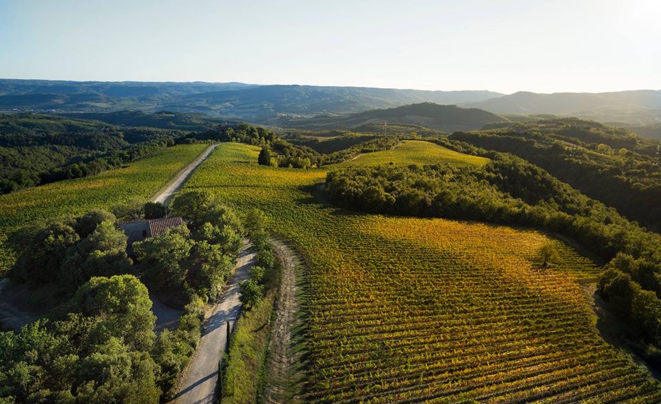 Decugnano dei Barbi: Primo Metodo Classico Umbro, prima Muffa Nobile.
<a href="/barberani/">BARBERANI</a> Az. Agricola BIO: Dal Cielo alla Terra, questa è la storia di un vino prezioso.
<a href="/Vitalongawinery/">Tenuta Vitalonga</a>: Tra Storia e Natura, radici etrusche.
#metodoclassico #vigneto #cantina #winetasting #wineries