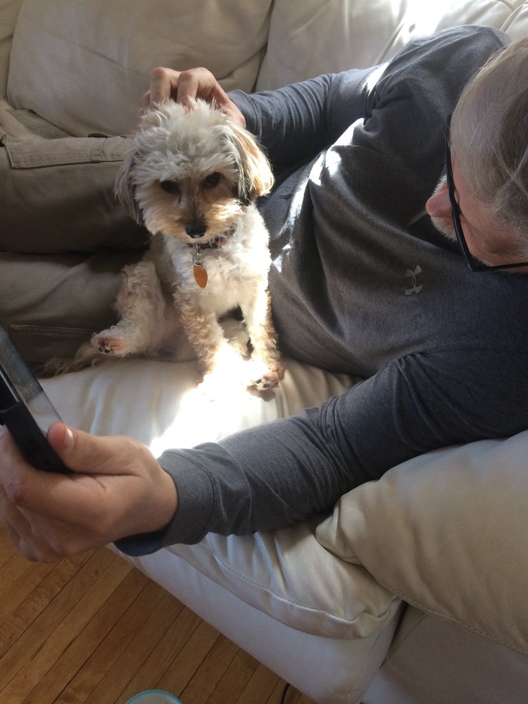 DoubleU_illo's tweet photo. my dad 4 months ago: we are not getting a second dog!!! I don’t even like small dogs.  

also my dad: awww where’s my little lady https://t.co/Y2LD3fbaPD