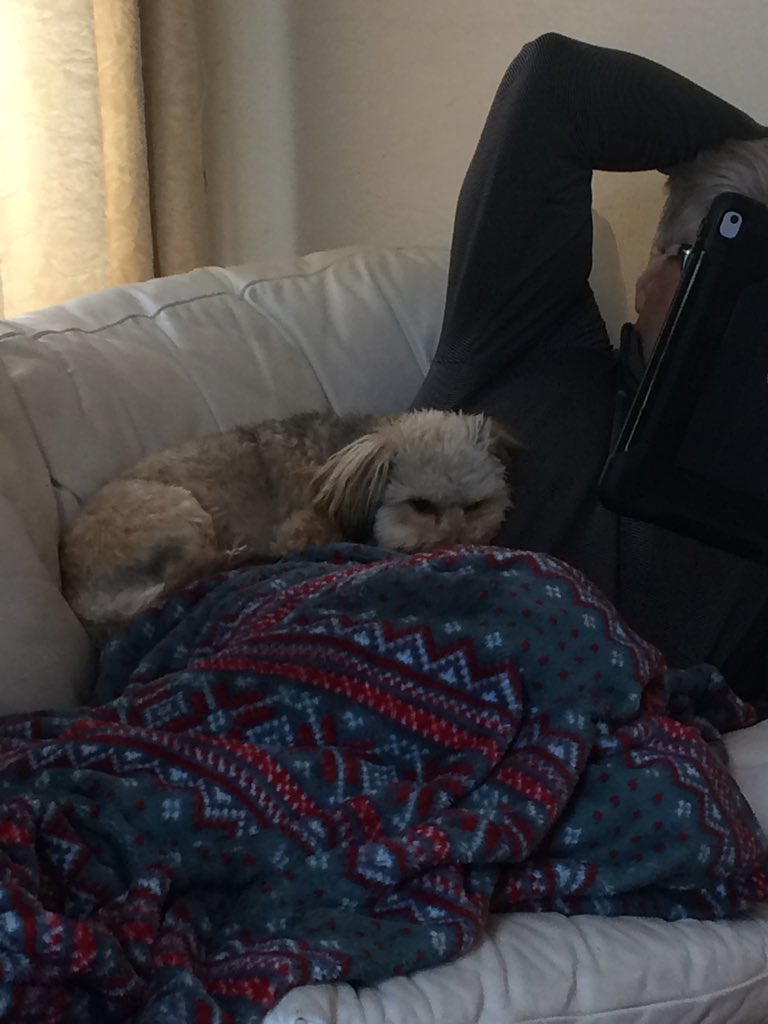 DoubleU_illo's tweet photo. my dad 4 months ago: we are not getting a second dog!!! I don’t even like small dogs.  

also my dad: awww where’s my little lady https://t.co/Y2LD3fbaPD
