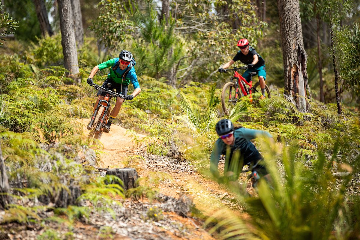 trailsnet's tweet photo. MOUNTAIN BIKING WESTERN AUSTRALIA - Perth has a fair amount of mountain bike trails in the area. Turner Hill has 12 kilometres of built trails, Marrinup has another 7 kilometres of green trails. Singletrack also links a lot of the riding areas together.  https://t.co/gOESPzb7Ci https://t.co/pEdIjYg1Uy