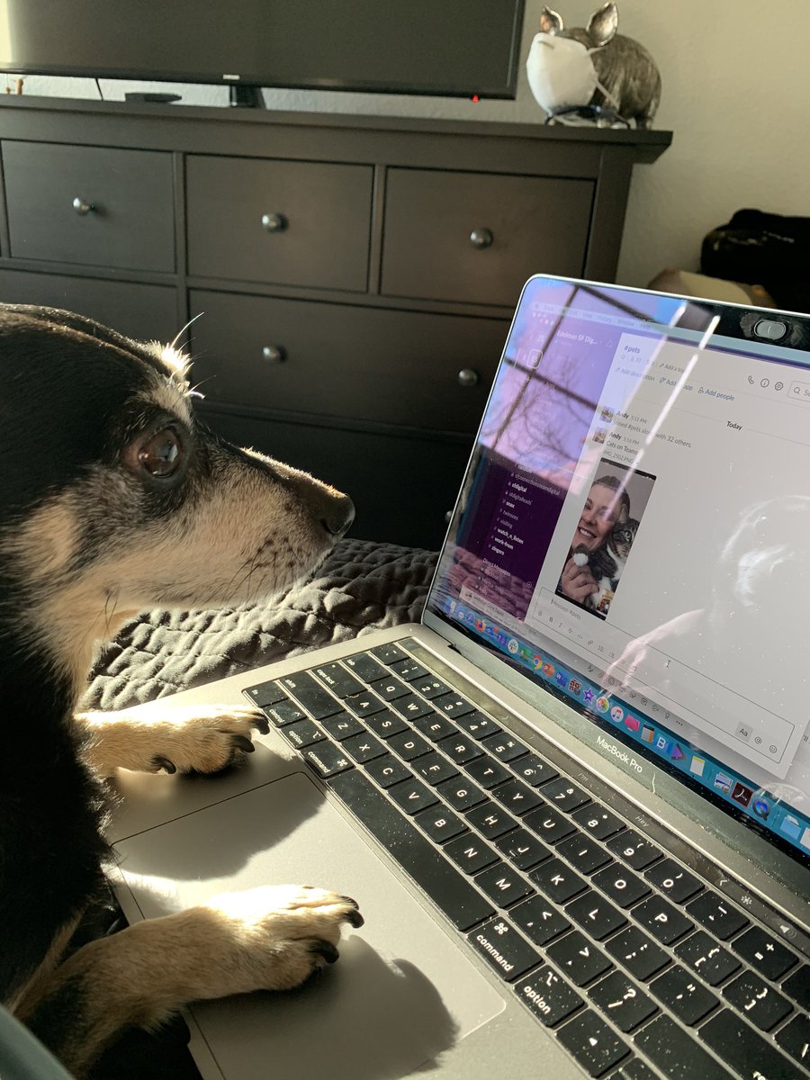 + Martha + tweet media