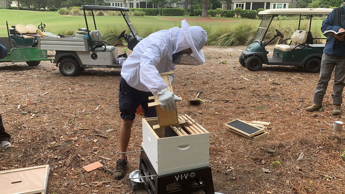 dneus_neus's tweet photo. Got the new bee box set up yesterday. @BartBradshaw6 did the tough part https://t.co/afvKnwUDMp