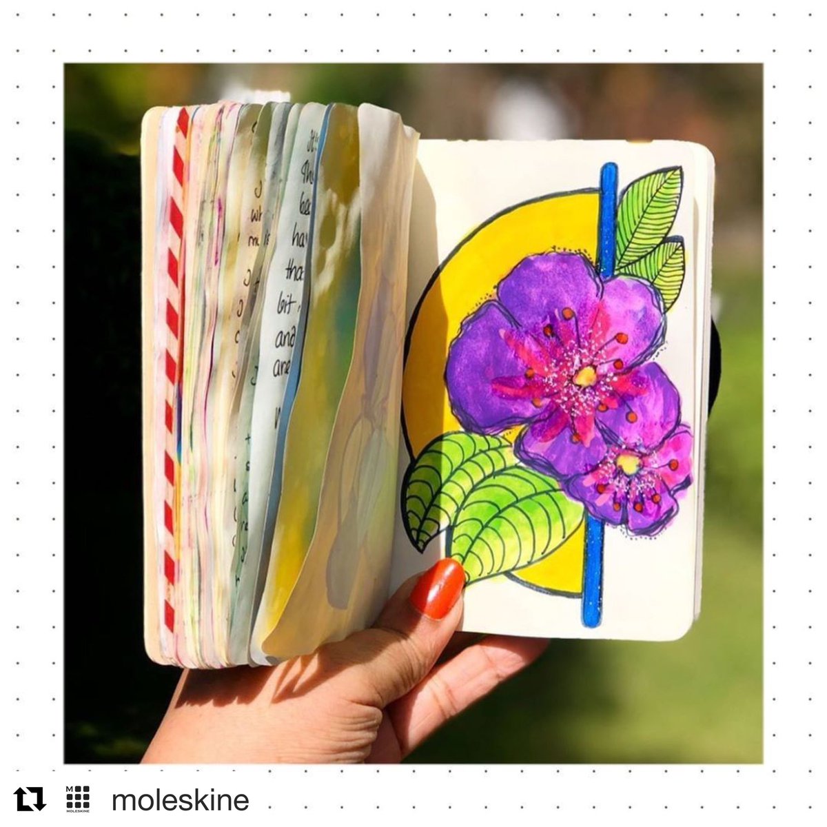 kamz26's tweet photo. Look, Mama! 
I made it! 😍 

#Repost @moleskine with #get_repost
・・・
@kamz26 teaches us that a flower can be picked in a garden or from a blank page. 
Share your very own #MoleskineMoments with artists all around the world. 
Link in bio. https://t.co/TkvxXvpMRH
