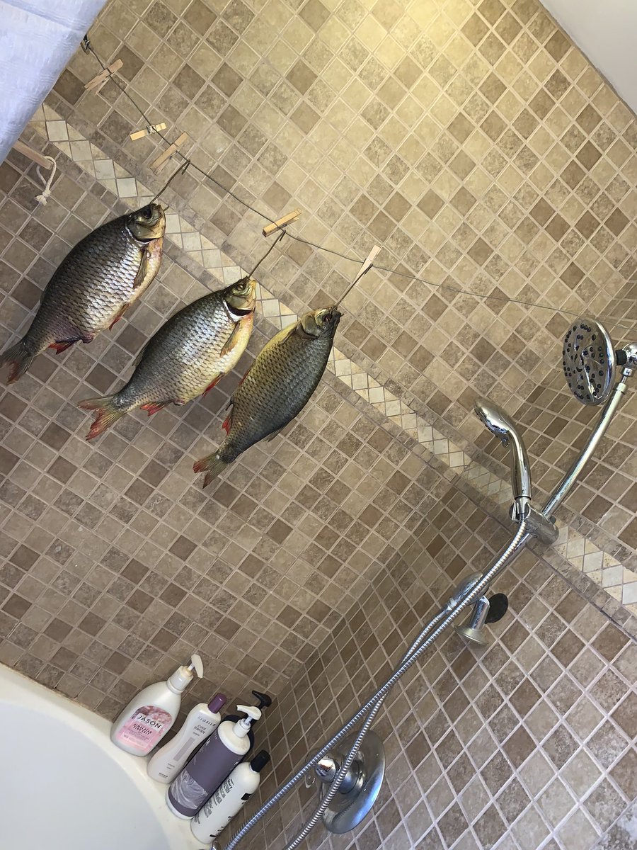 internetfaggit's tweet image. “ r u okay ?”
no I just wanna take a shower