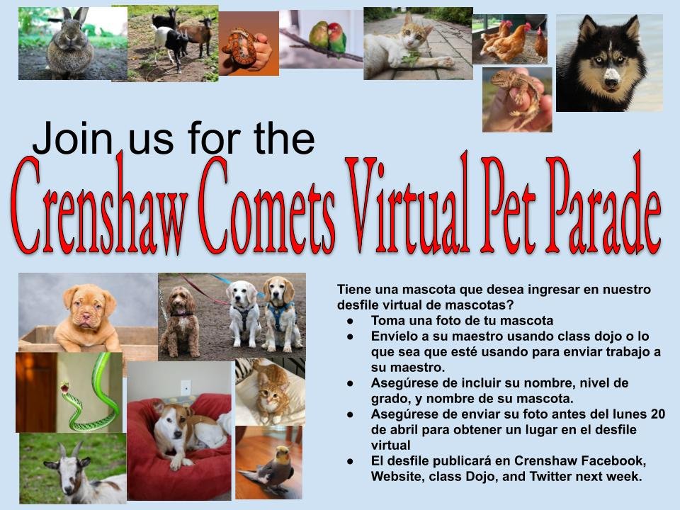NHFineArtsMag's tweet photo. Crenshaw Virtual Pet Parade - Here is your chance to show off your pet. Look below for details! ππππ¦π’π¦ππ¦ππ± #crenshawcomets #distancelearning #virtualweek #virtualpetparade https://t.co/tyimp5tybl