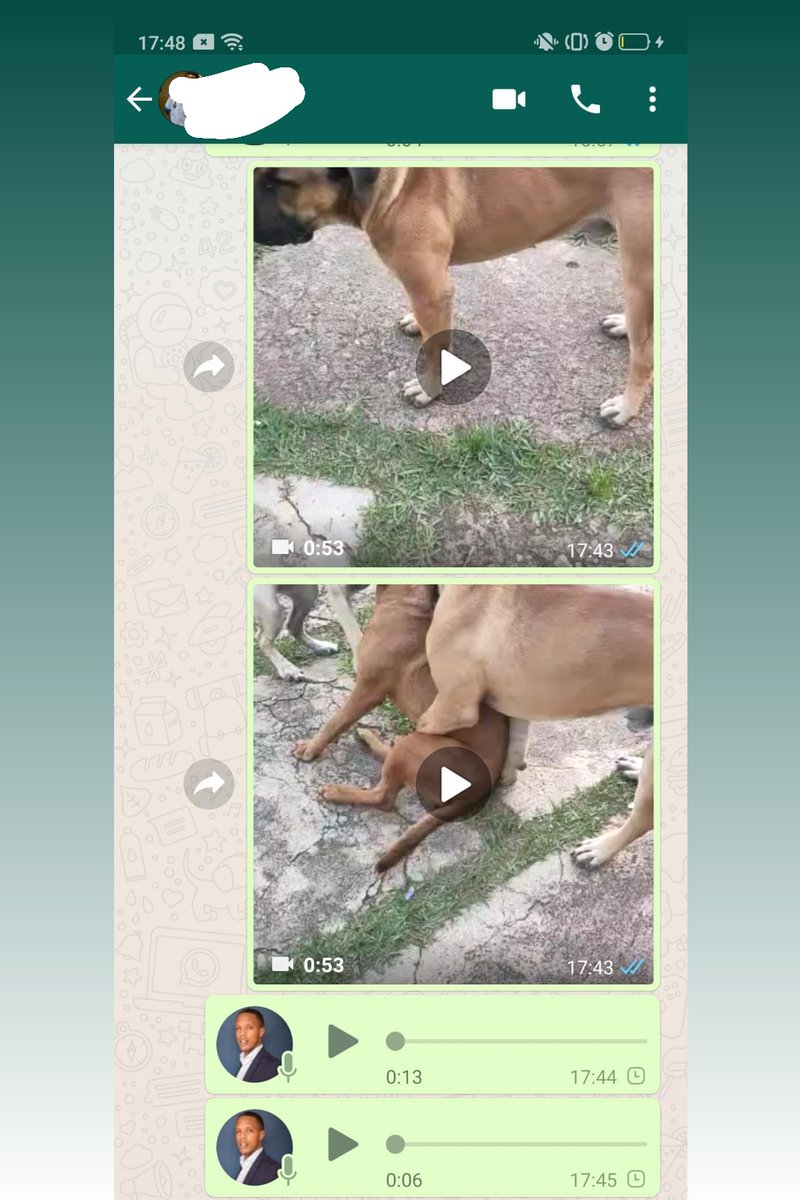 Bryon Mutijima tweet media