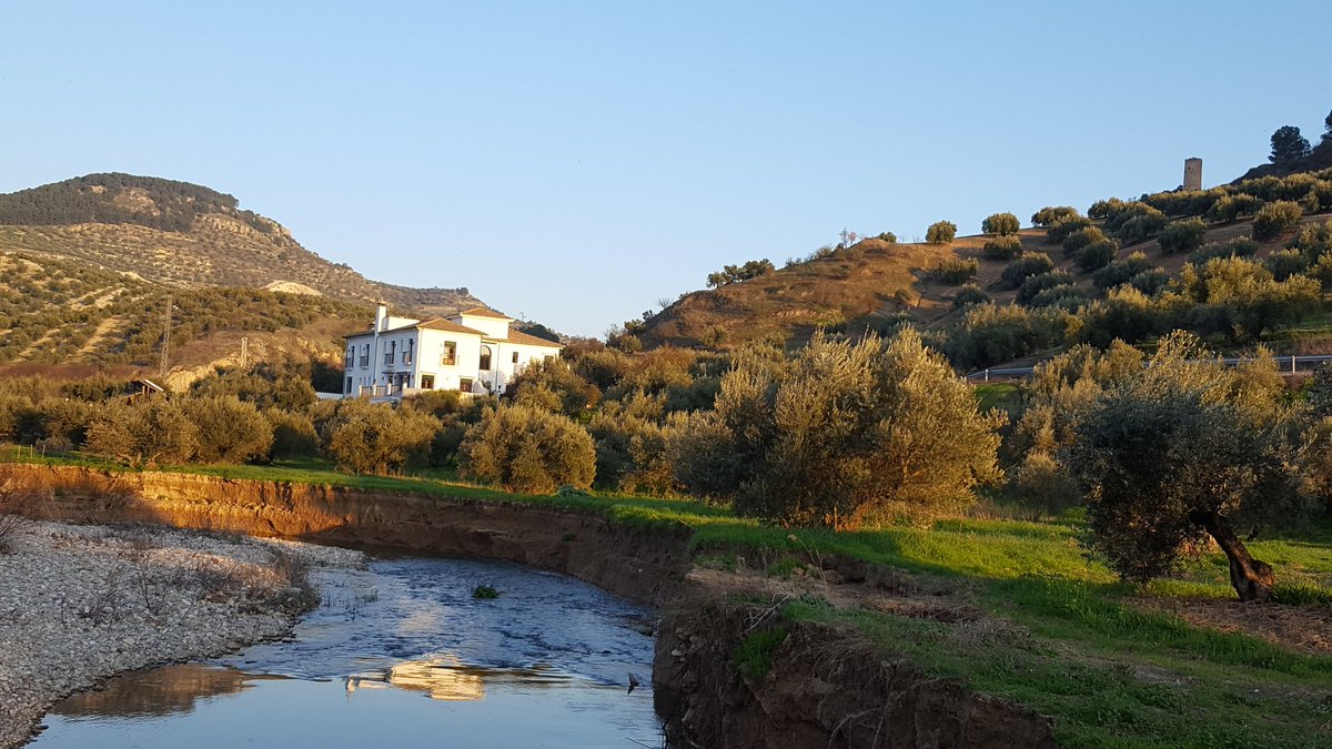 Casa Olea tweet media