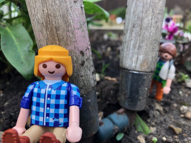CUBGLearning's tweet photo. Ready for some fun in the garden? Download this week's family activity 🌿😀. https://t.co/n8cls3XTxr Let us know what you think and share pictures of your creations using #CUBGfamily. 

#freefamilyfun #cambridge #activitiesforchildren #DawnandDoug https://t.co/tnuYMCeBAD