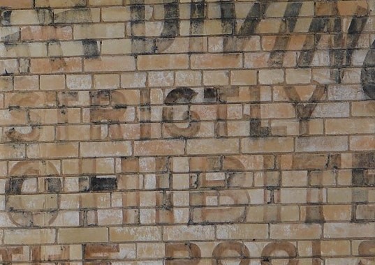 SA Conservation Soc tweet media