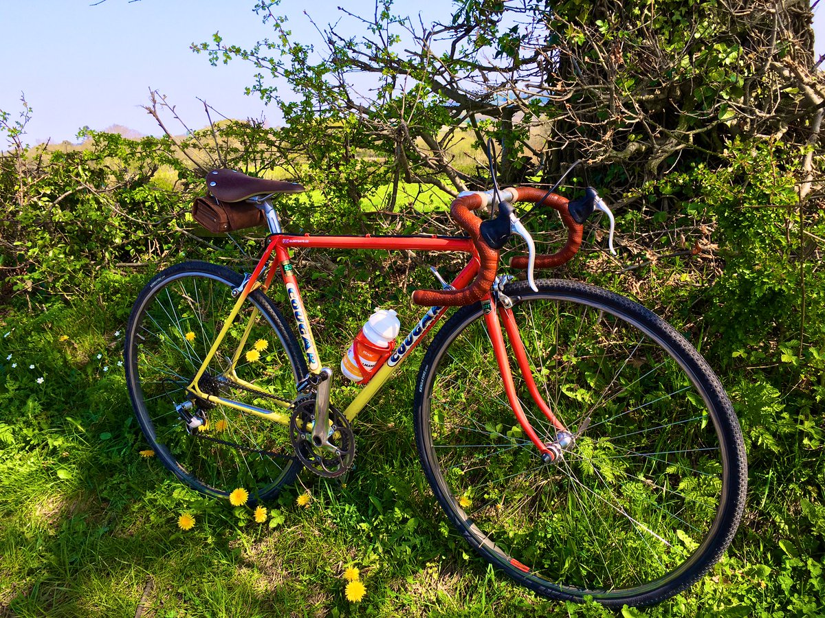 Took our 1983 Cougar out for a little spin today.  Its <a href="/Reynoldstube531/">Reynolds531</a> frame makes for a fun and responsive ride #cyclingfromhome