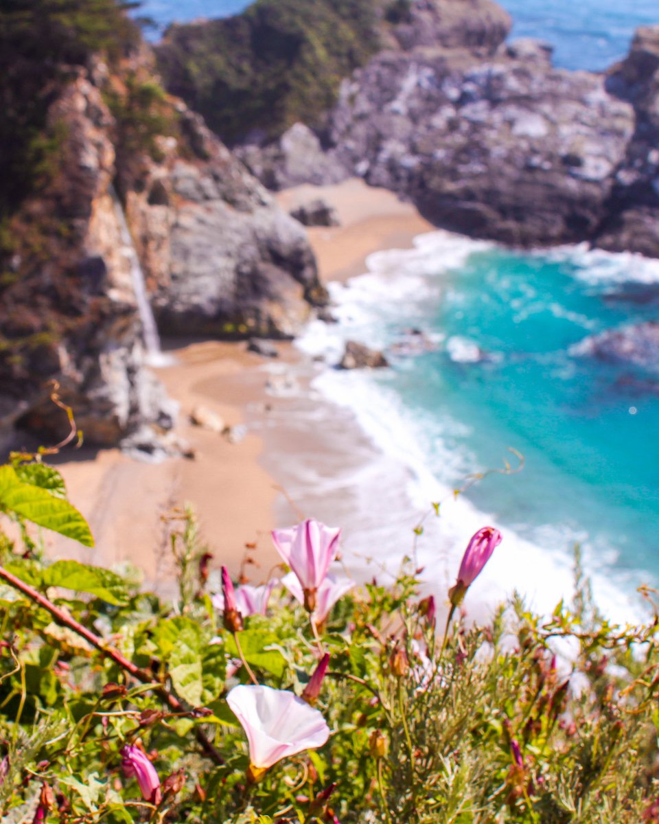 rocknroamgirl's tweet photo. If you don't risk anything, you risk even more. ✨ —E. Jong
#Inspiration #inspirationoftheday #DailyDrop #dailyinspiration #PhotoOfTheDay #photochallenge #NaturePhotography #californiaview #travelphotography #california #motivation https://t.co/B49Uv4cjse