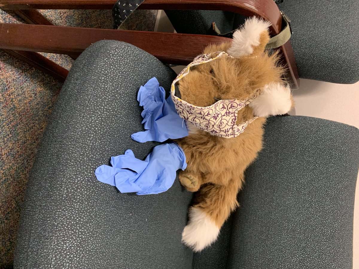Libraker1's tweet photo. Freddy the fox wanted to tell his Ranger friends hi in a safe way! #wcerangers #wcelibrary #libraryfox https://t.co/JXevKC7ARV
