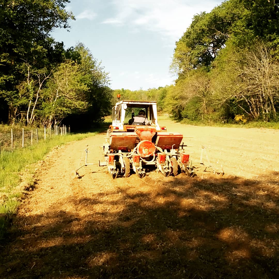 FARM WORK at Lou Casse Farm
Shell our own free organic seeds &amp; sow all our fields. DONE
Cascara nuestras semillas libras de maíz y sembrar nuestros campos. HECHO
Egrenage maïs population, hersage, semage des champs. FAIT
#rockfarmers
#wethepeopleofthesoil
#selfsuficient
#teamwork