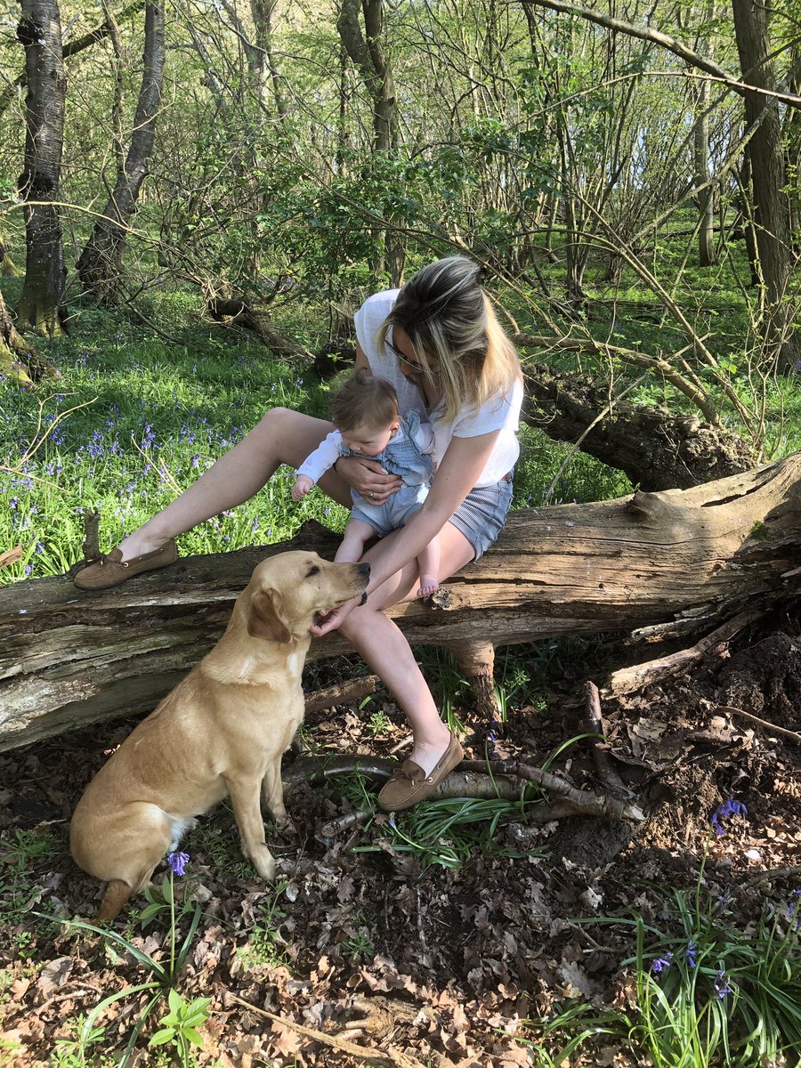 ABreathFreshAir's tweet photo. Think this photo will always remind me of lockdown 🌿 Spending every hour with these two 👶🦮 and roots in desperate need of repair! 👱‍♀️
Spring vibes 🌼 Walks in the woods 🌳
#fairfaxandfavor #country #outdoors #countryside #countrylife #englishcountryside #rootsneeddoing https://t.co/R6hsmxMc2v