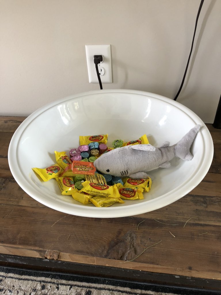 Today, he’s swimming. Better not eat all my Reese’s.
