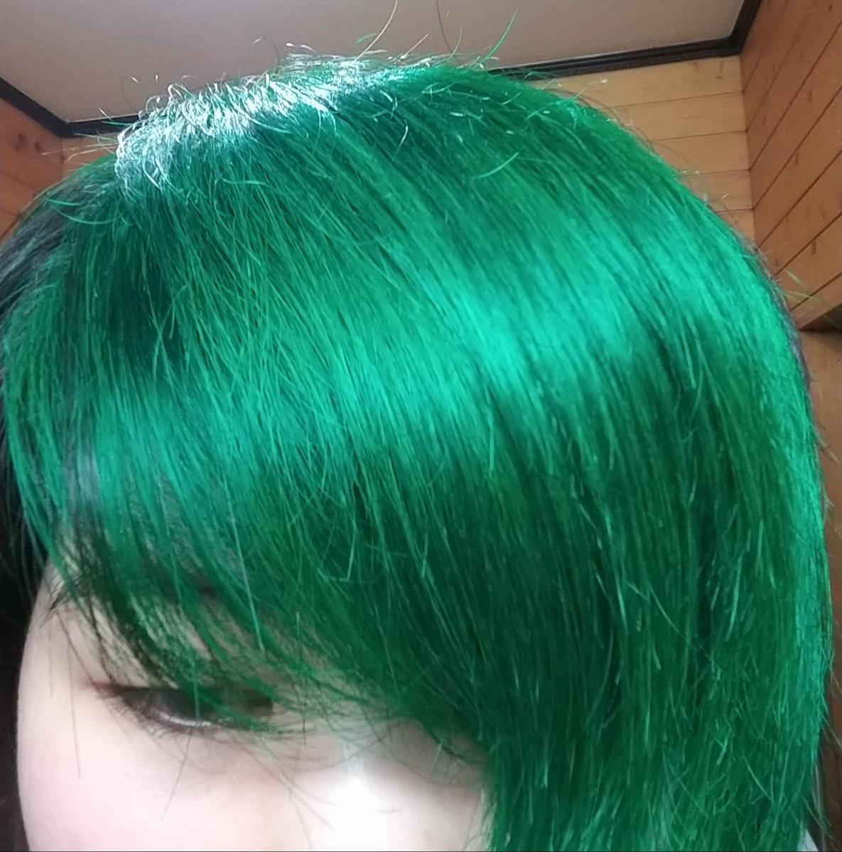ようやく緑に染めた❗ 今回は斑無く染められたのでは…🤔 #マニパニ