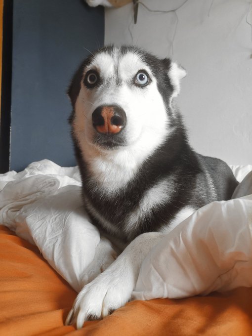 I am so blessed ❤️ https://t.co/jznHycvg0K