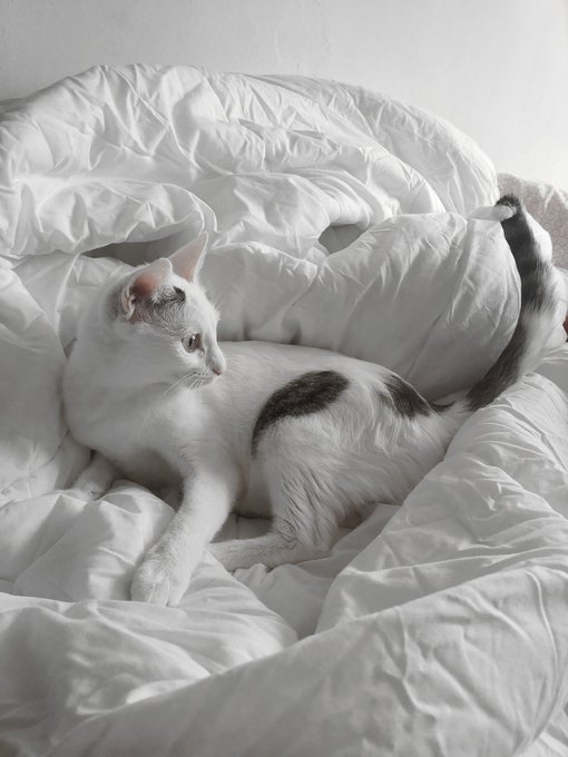 I am so blessed ❤️ https://t.co/jznHycvg0K