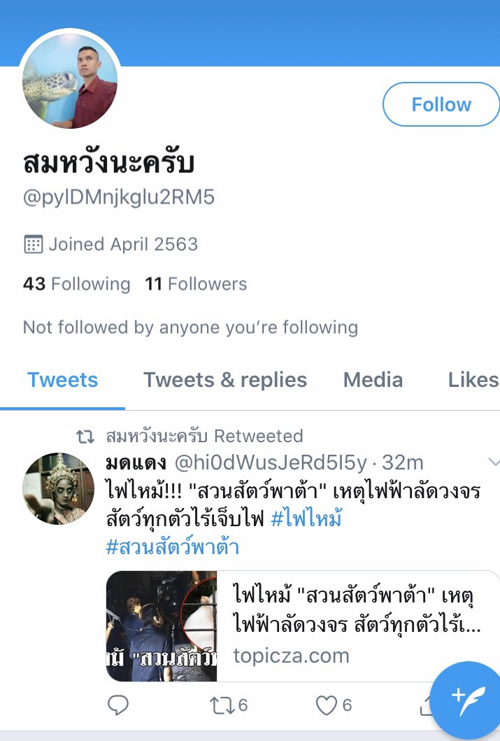 Freedom Next Exit tweet media