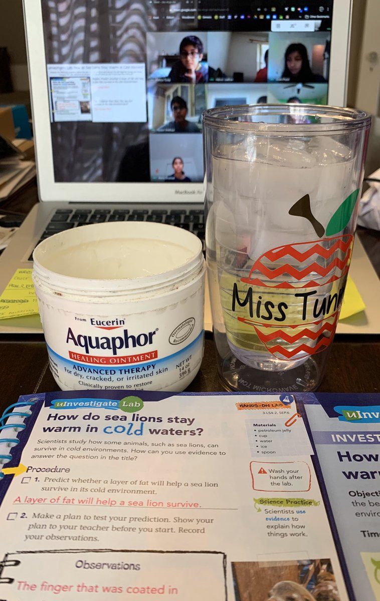 MissTunnell's tweet photo. Today we conducted our uInvestigate Lab for our new science topic! Students explored how a sea lions layer of fat helps them survive in their cold environment using cold water and some aquaphor! @WoodbrookSchool #shinebrightedison https://t.co/hRqPMB3Ooz