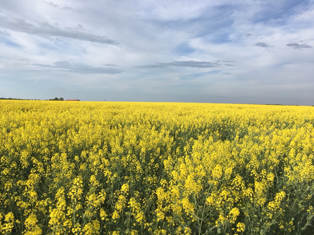 Sebastien Deraeve tweet media