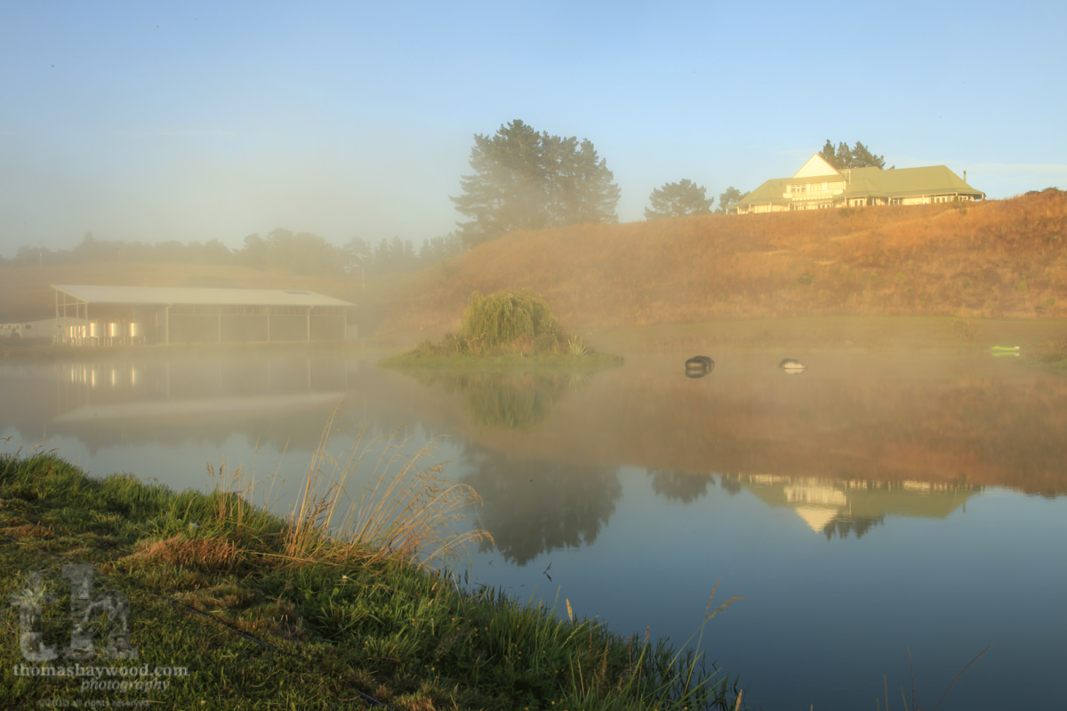 thaywoodphoto's tweet photo. #pictureoftheday is @Urlarwines Urlar, Gladstone Urlar back in 2008. Woke up to find mist on the vines near Masterton NZ. I had to get out to get photos of the winery, irrigation pond and the vineyard. #NZ #NewZealand #Winery #Urlar #Sunrise #mist #reflections #viticulture https://t.co/BcynVmqVUc