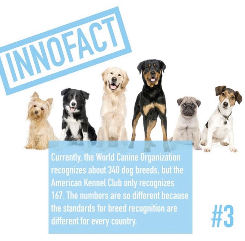 innovetpet_'s tweet photo. #Innofact https://t.co/3uj2pxbIHr