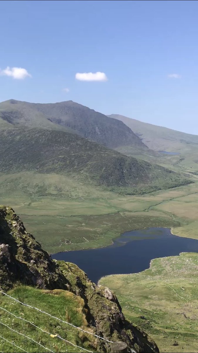 Michael McMahon tweet media