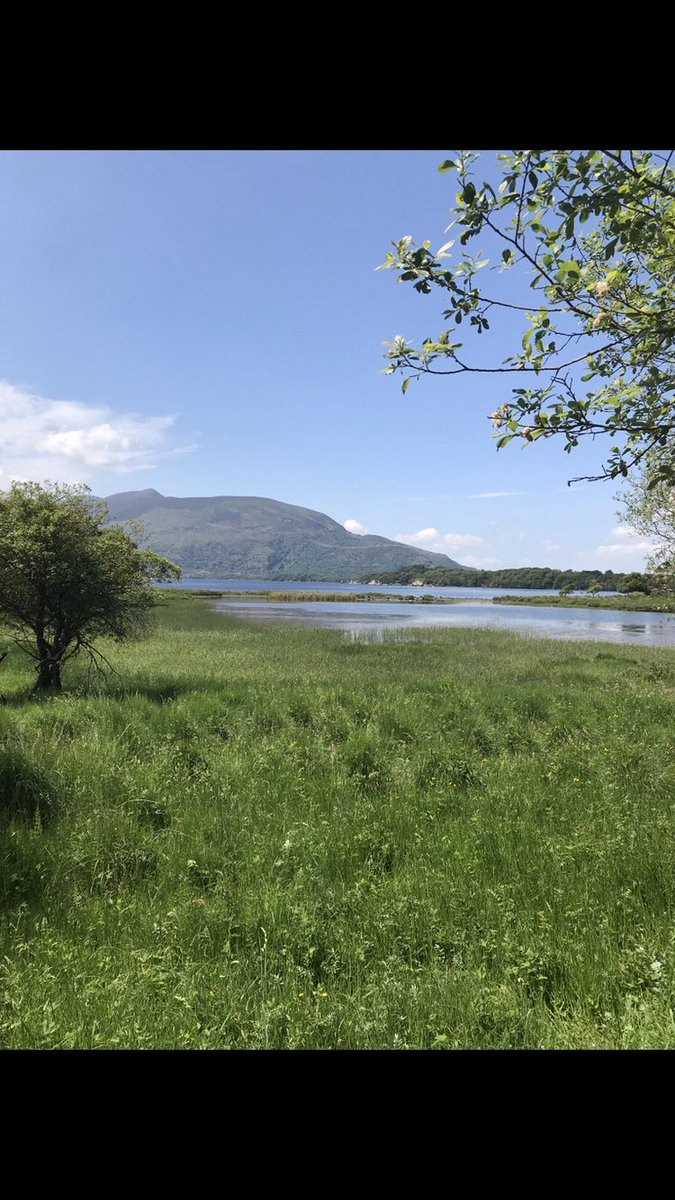 Michael McMahon tweet media