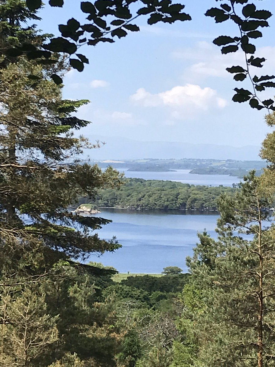 Michael McMahon tweet media