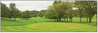 Golf_Minnesota tweet media