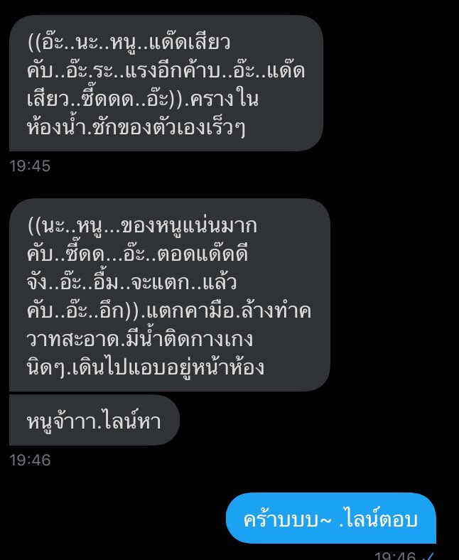 ขิงเจ้านายของแมวน้อย tweet media