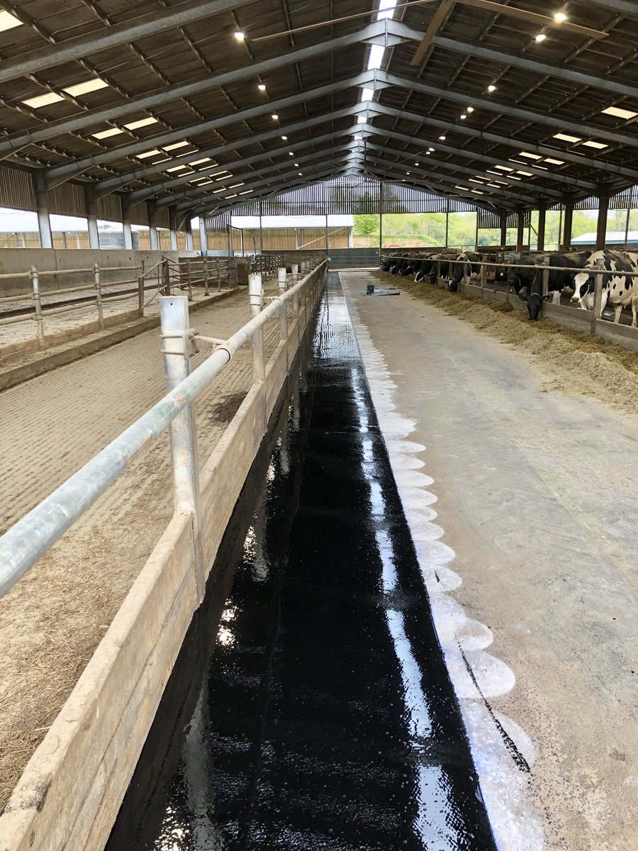 ConceptCowhouse's tweet photo. Feed passage coating applied today in Gloucestershire #increasedintakes #cleanplate https://t.co/1UXNaj77h6