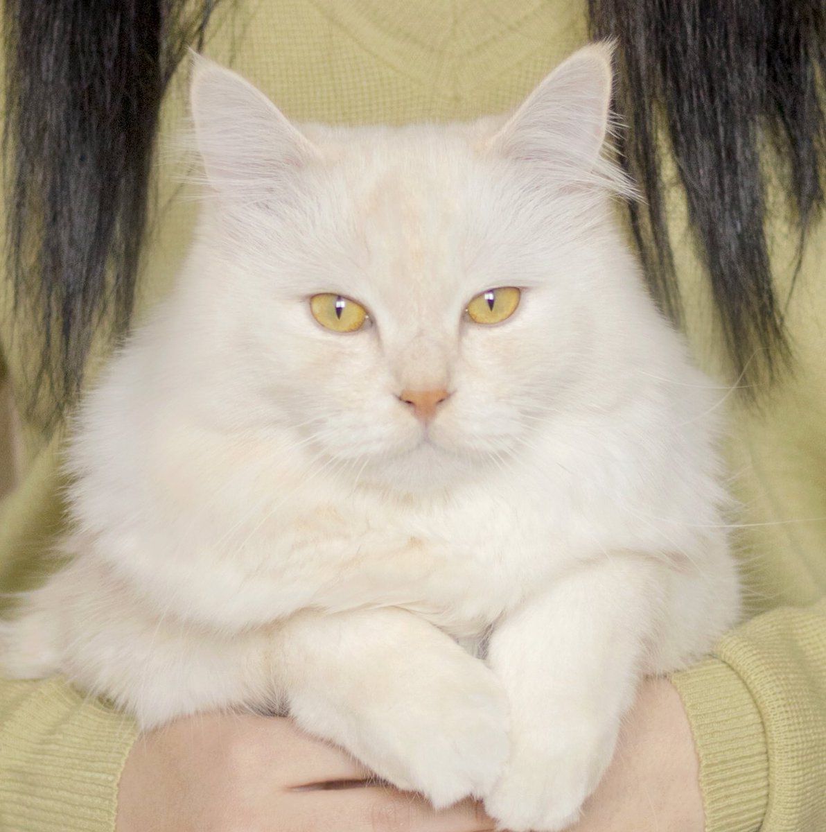 오늘 누나랑 사진 찍었지욥💕