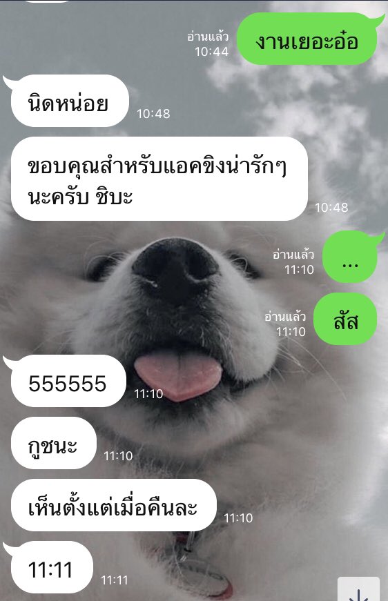 shibaa1104's tweet photo. ฮือ เขาจับชิบะได้สะแล้ว เร็วมากๆเลยค่ะแด๊ดดี๋🥺
#รีฟอลฟรี #rtฟอลฟรี #ฟอลฟรี https://t.co/mXXSyQ3IrB