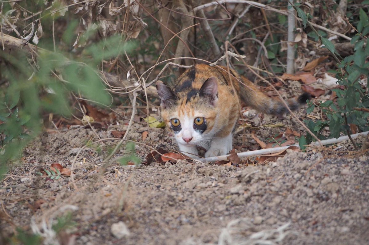 ตอนแรกว่าจะไม่ขำหน้าน้องละนะ ไปนอนไปมั้ยลูก 555555555555555