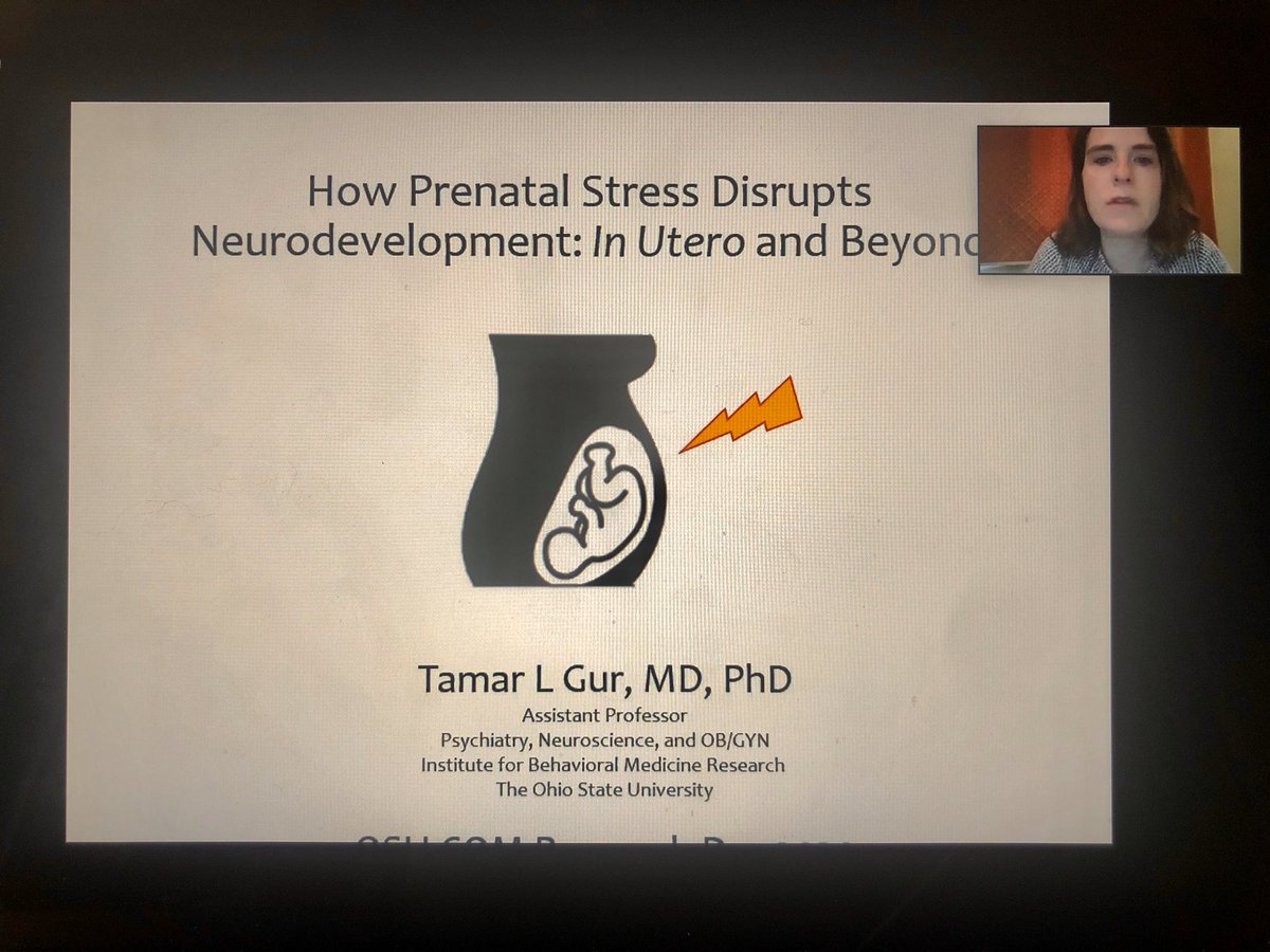 How amazing is it that in the midst of a pandemic, we’re so lucky to be able to still listen in on @TamarGurMDPhD’s State of the Art Faculty lecture for <a href="/OhioStateMed/">The Ohio State University College of Medicine</a>’s Trainee Research Day! <a href="/OSUWexMed/">The Ohio State University Wexner Medical Center</a> <a href="/osuresearch/">Ohio State News – Research</a>