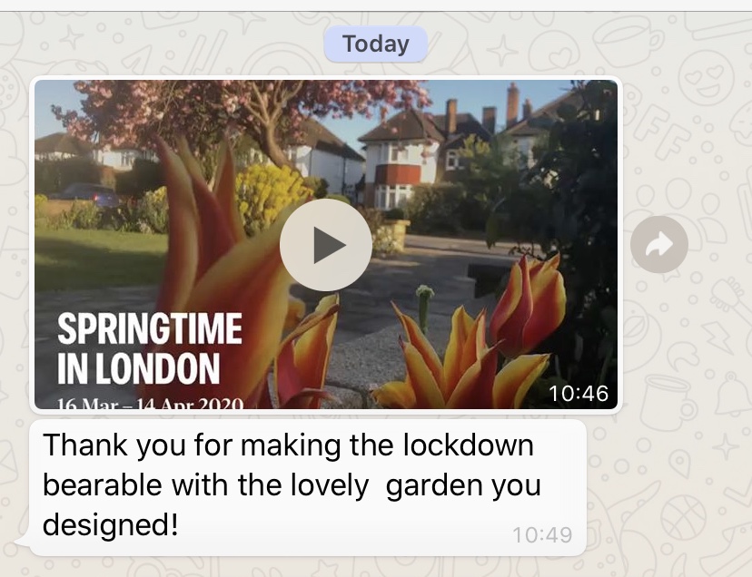 caclancy's tweet photo. lockdown gardens - https://t.co/EonvrUWNx1 https://t.co/42JlFJ6NBr
