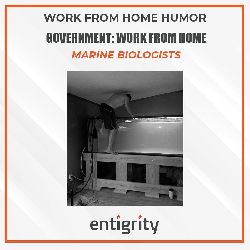 CpaHille's tweet photo. #Workfromhome #Humor #CoronaVirus #pandemic #RemoteWorking #OffshoreStaff #Entigrity2020 https://t.co/M3B2QuS1pe