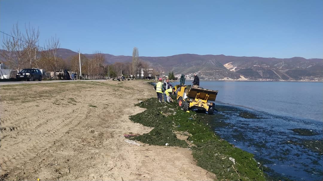 BashkiaP's tweet photo. Çdo ditë në punë, pavarësisht situatës së pandemisë vijojmë punën për të patur një bregliqen të pastër!
#Bashkianëpunë https://t.co/LgZK3k1I2m