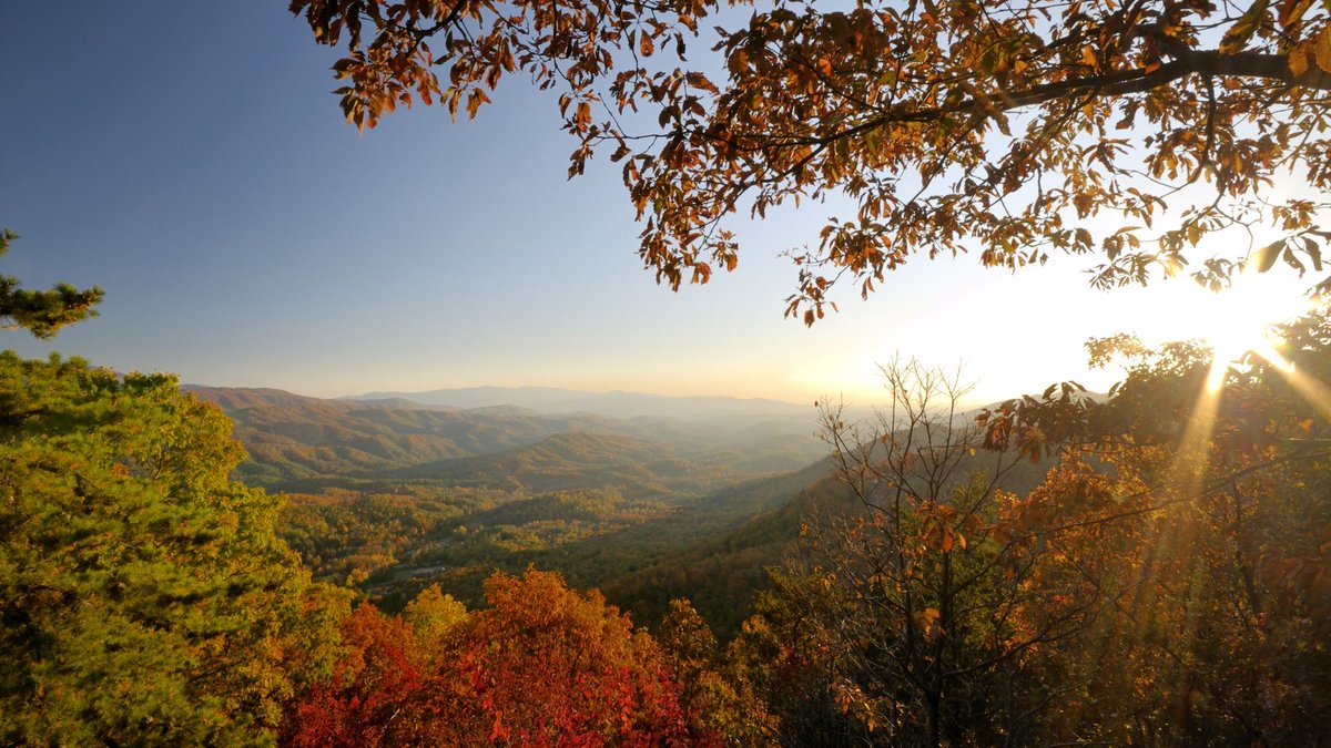 Liyma Isha 🇺🇸 (@ishaliyma) on Twitter photo 