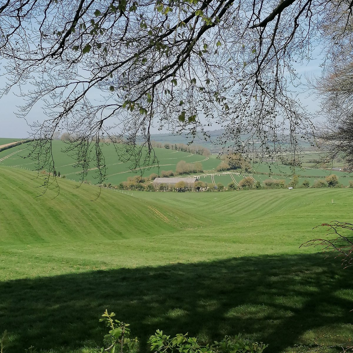 clvonasmith's tweet photo. I am so lucky to have this on my doorstep, the rolling hills of Hampshire. Top of Stocks Lane near Old Winchester Hill @sdnpa @GreenHampshire @VisitHampshire @HampshireLife #meonValley #meonstroke https://t.co/jyyVRwY6Ab