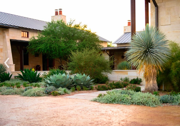 Cramirez_7's tweet photo. Last summer I designed and built this landscape architecture project. Today the client sent me these to update on how the design has matured over the last 7 months. https://t.co/SA0s1Tw9xJ