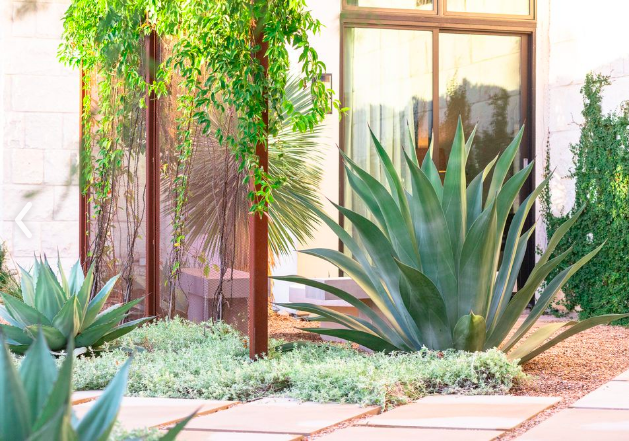 Cramirez_7's tweet photo. Last summer I designed and built this landscape architecture project. Today the client sent me these to update on how the design has matured over the last 7 months. https://t.co/SA0s1Tw9xJ