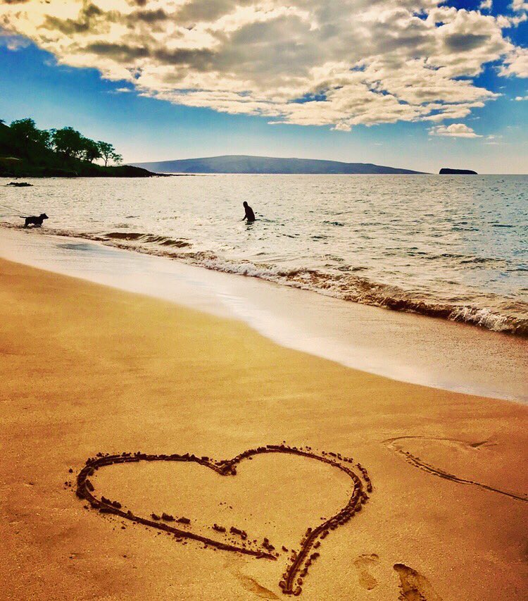 VanIslandMedia's tweet photo. Kindness - one size fits all 🙏#KindnessMatters #InThisTogether #StayHomeSaveLives https://t.co/md9MKdYblM