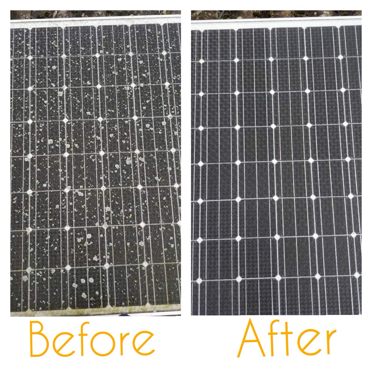 CRC_service's tweet photo. Ensuring you have clean #solarpanels can dramatically increase the energy #production from your #solarsystem
Call for your #free #quote today: 07584494420

#solarpower #norfolksolar #kingslynn #kingslynnsolar #renewableenergy #climatesave #climatechange #doyourbit https://t.co/ncEpfh2CDZ